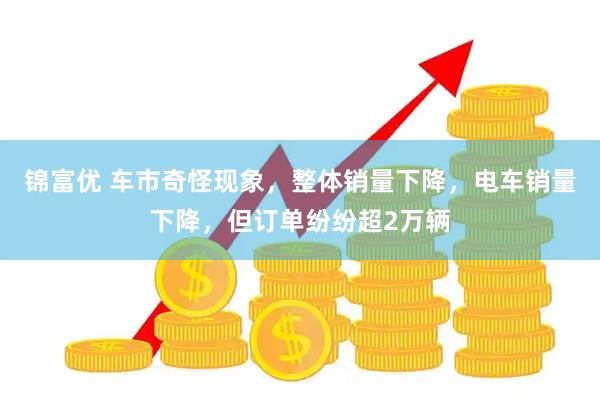 锦富优 车市奇怪现象，整体销量下降，电车销量下降，但订单纷纷超2万辆